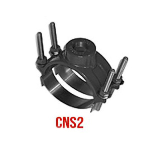 cns2-300×300